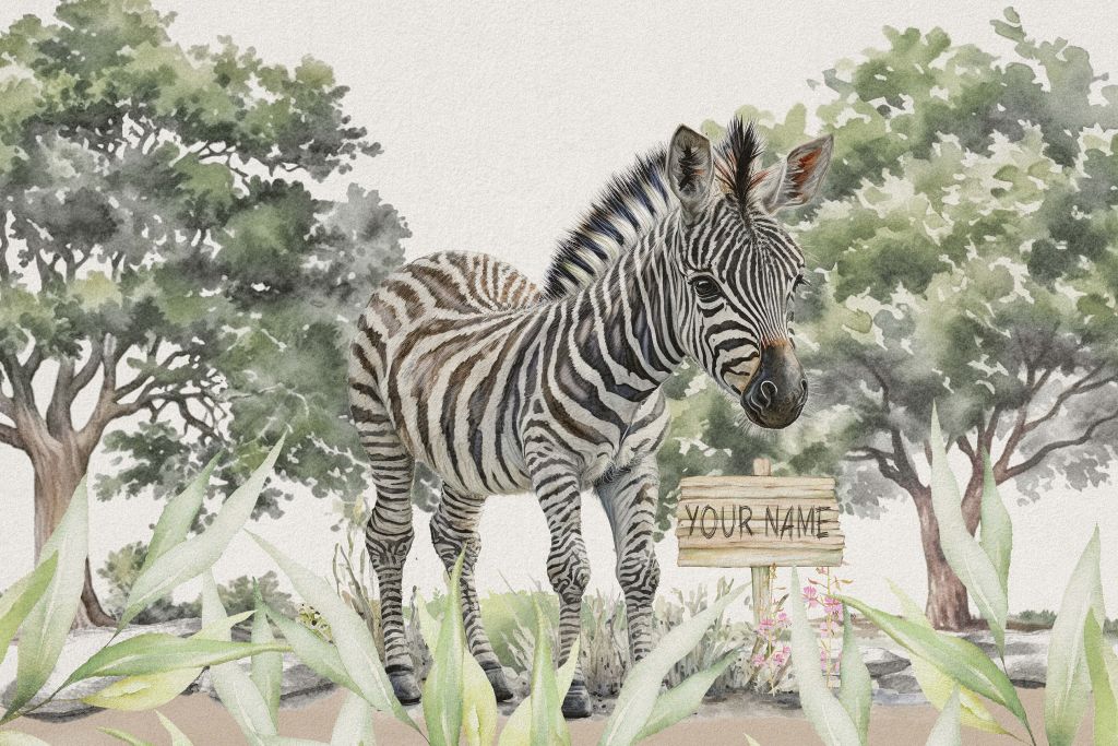 Jonge zebra in de natuur
