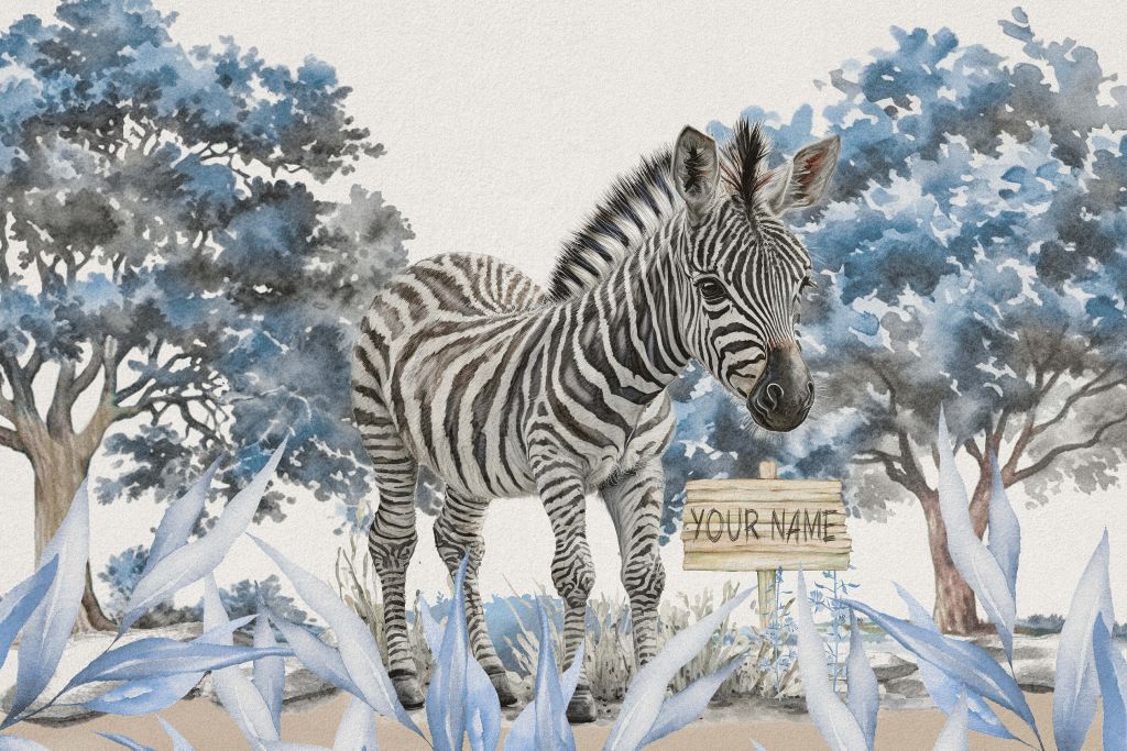 Jonge zebra in de natuur blauw