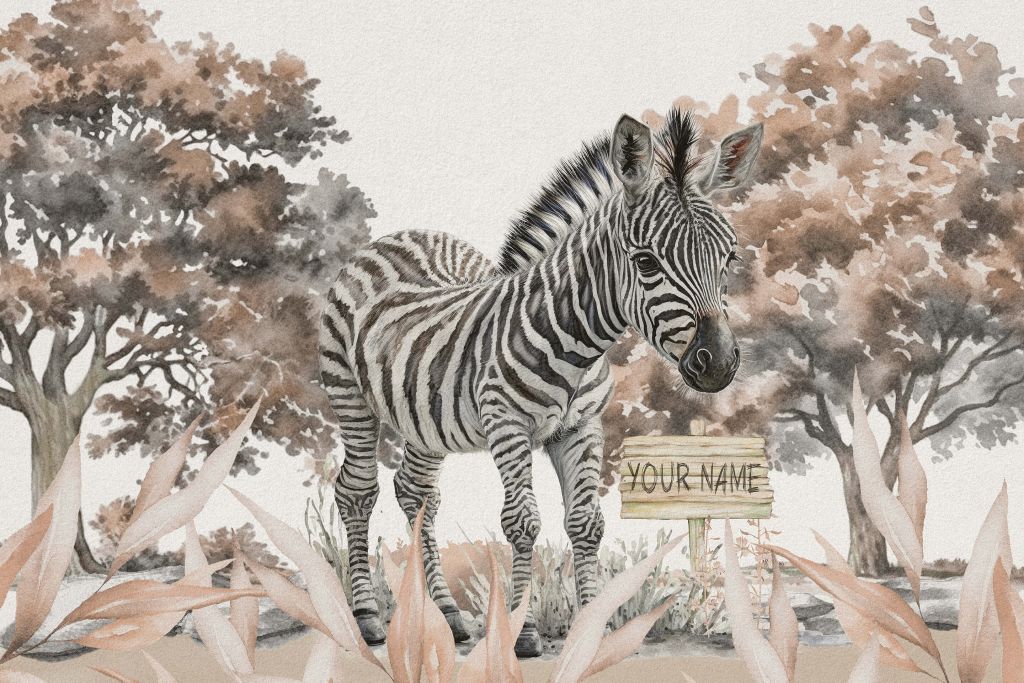 Jonge zebra in de natuur taupe