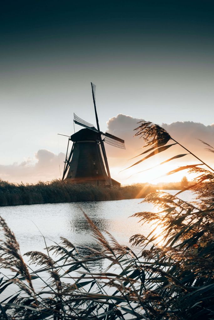 Windmolen bij zonsopkomst