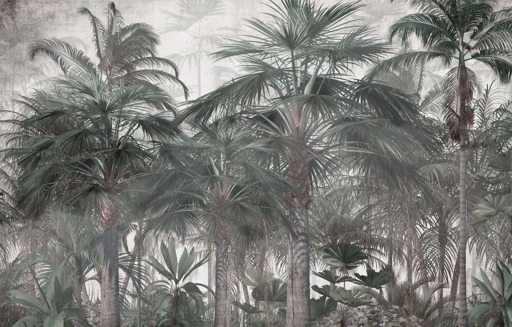 Schemerige Palmsereniteit