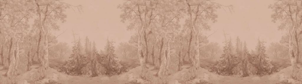 Forest Landscape Terra Panorama