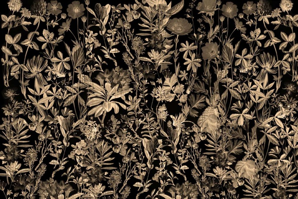Garden Gerbarium Sepia