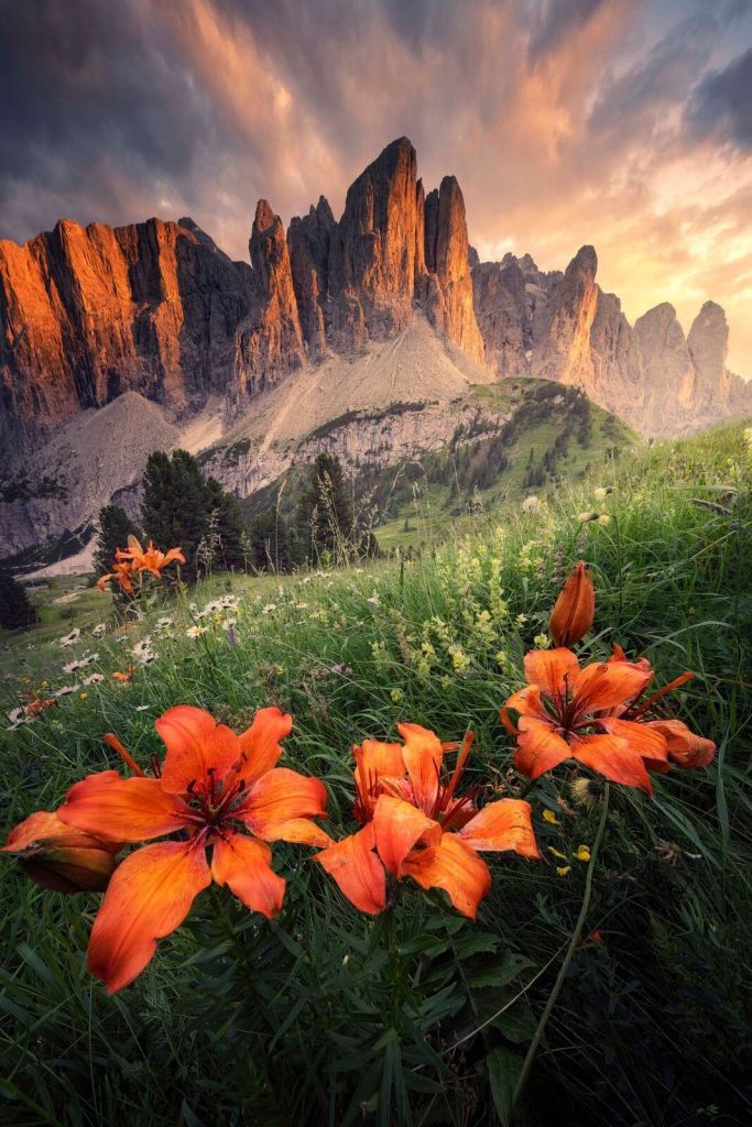 Zomergloed in de Alpen