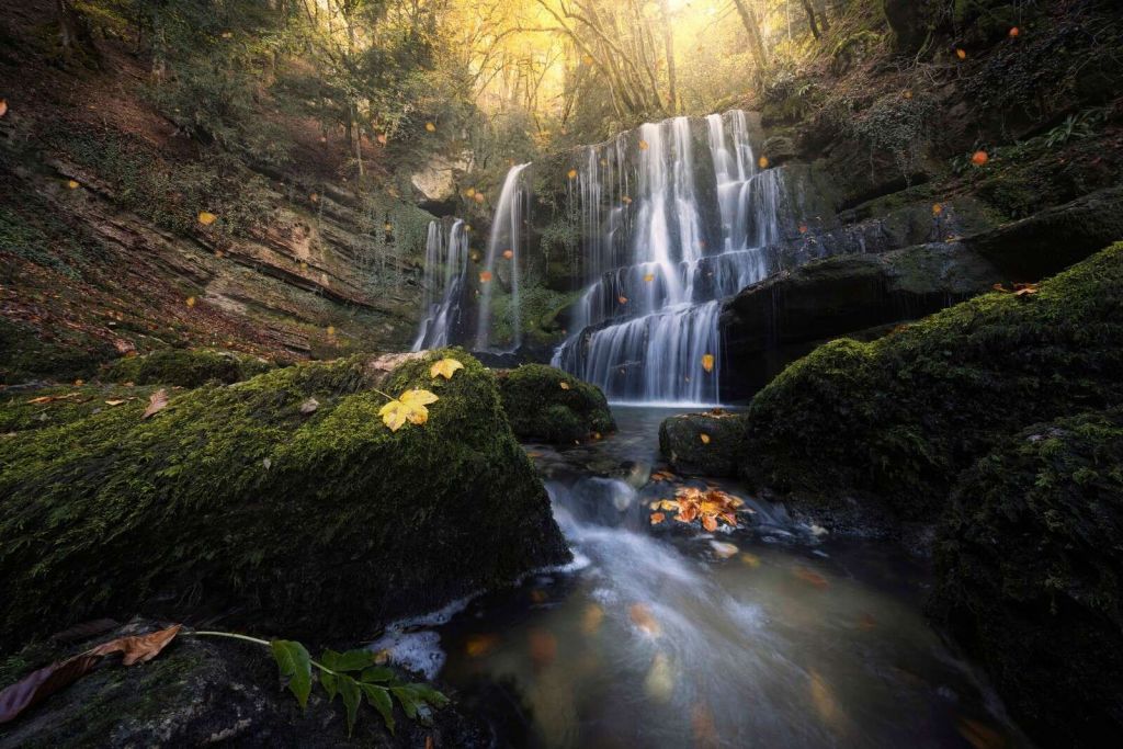 Herfstwaterval in het Woud