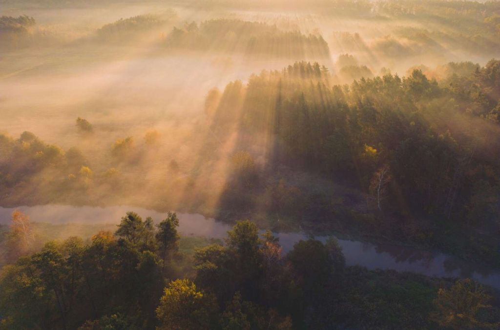 Dromerige Ochtendmist in de Natuur