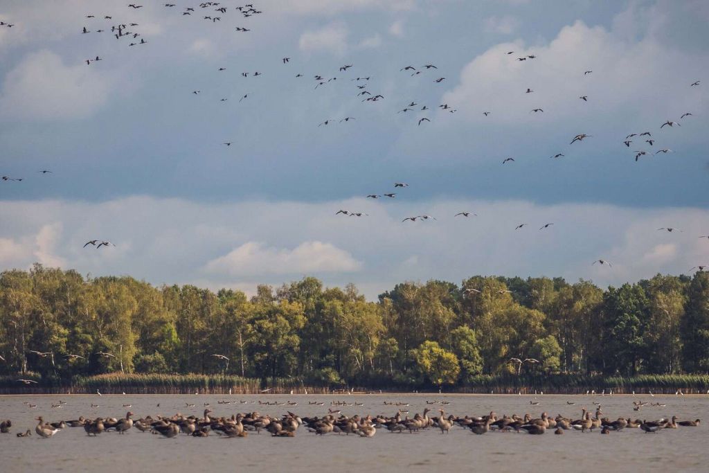 Vlucht over het Water