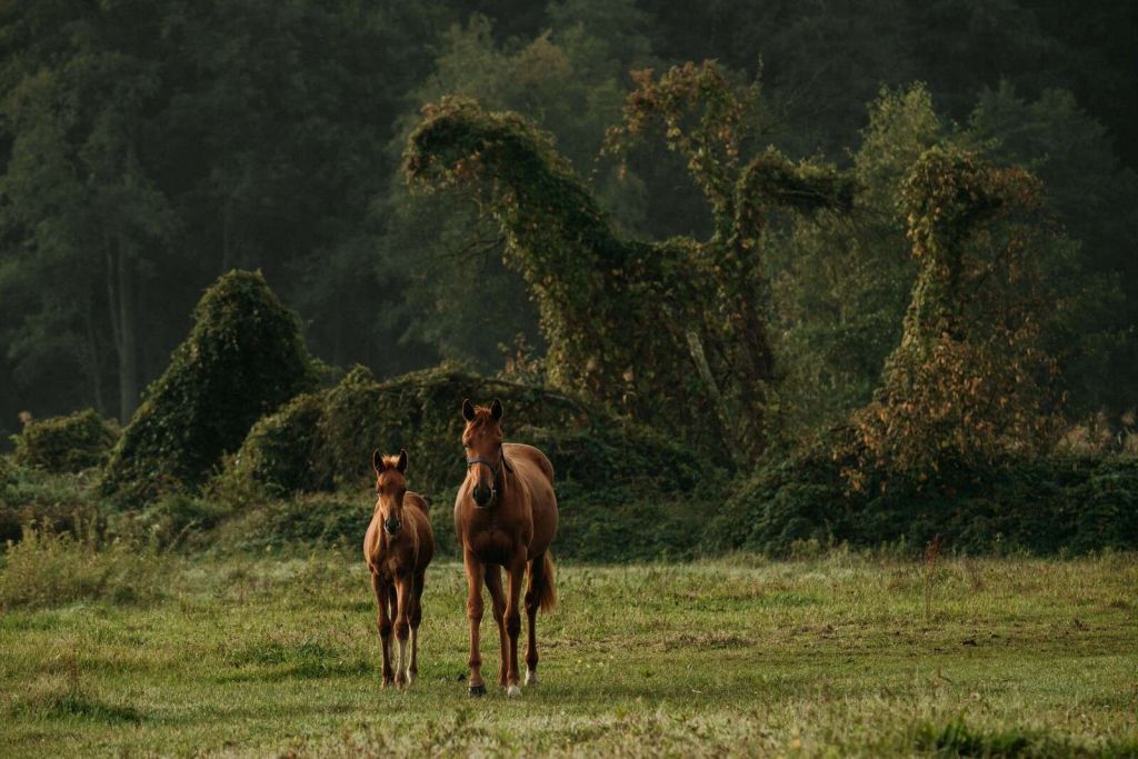 Paarden in een Mystiek Landschap
