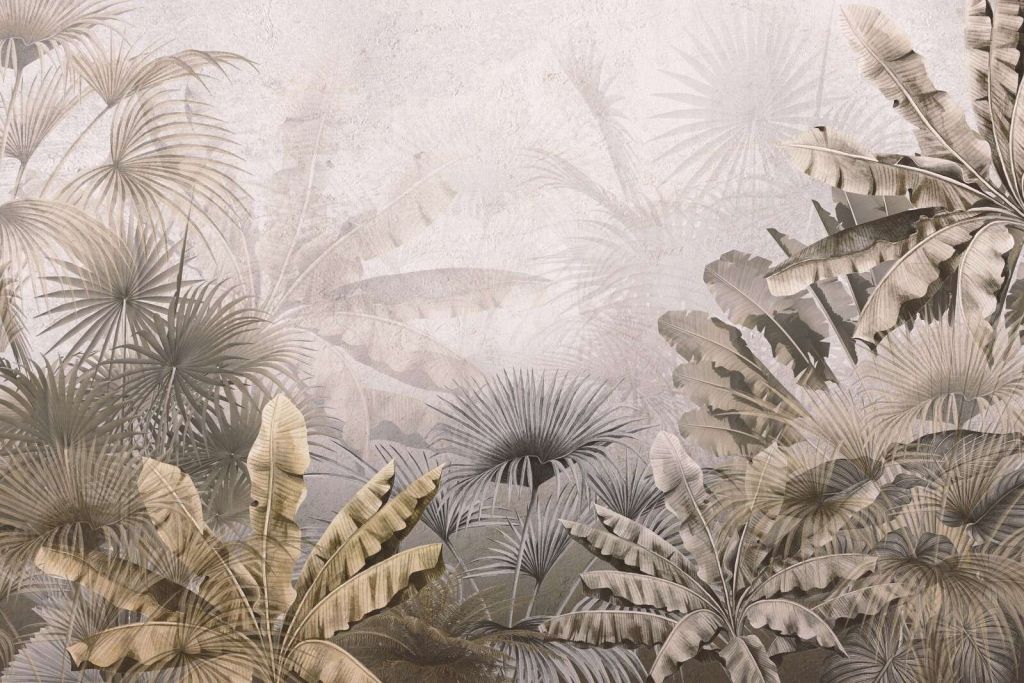 Mistige Jungle Pracht