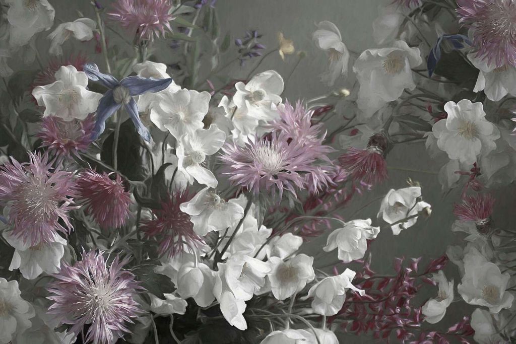 Anemonies Pink