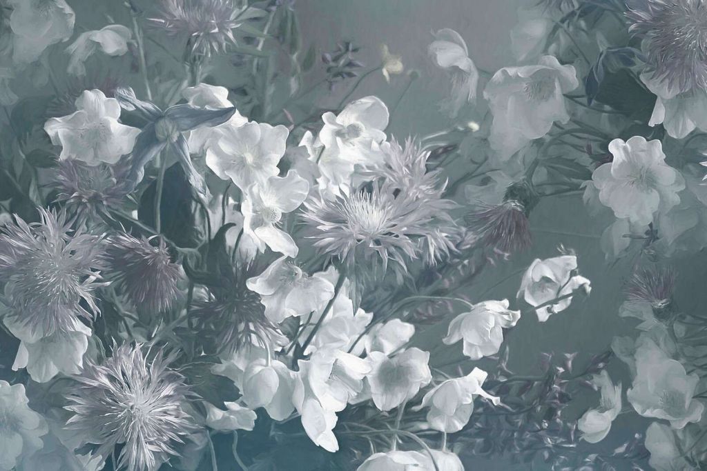 Anemonies Blue
