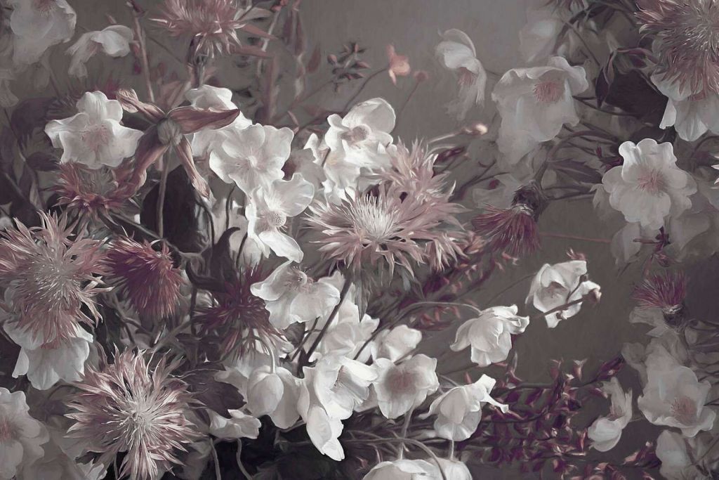 Anemonies Sepia