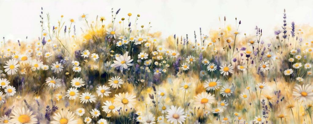Quiet Daisies Meadow Yellow