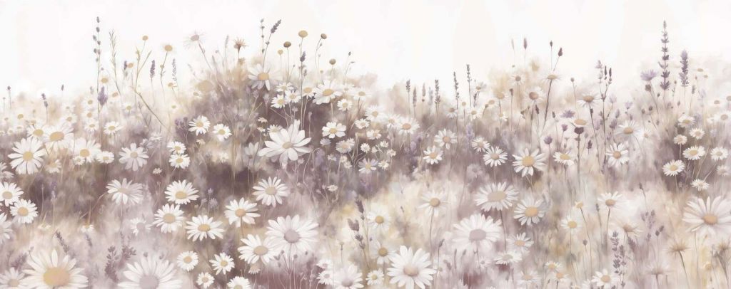 Quiet Daisies Meadow Pink