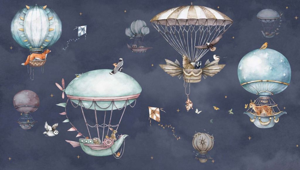 Balloon Flight