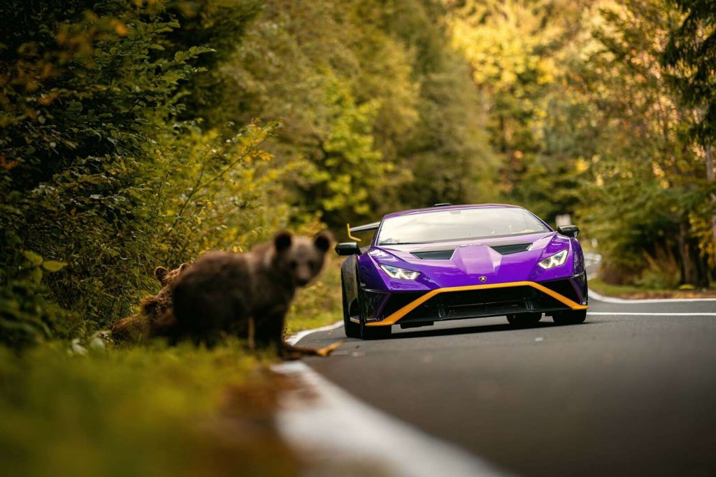 Lamborghini vs. wildernis