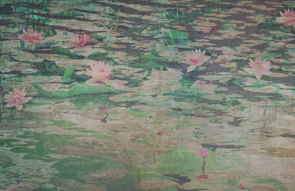 Waterlelies in vergrijsd vijverlicht