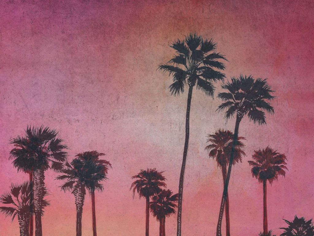 Palmbomen in roze avondgloed