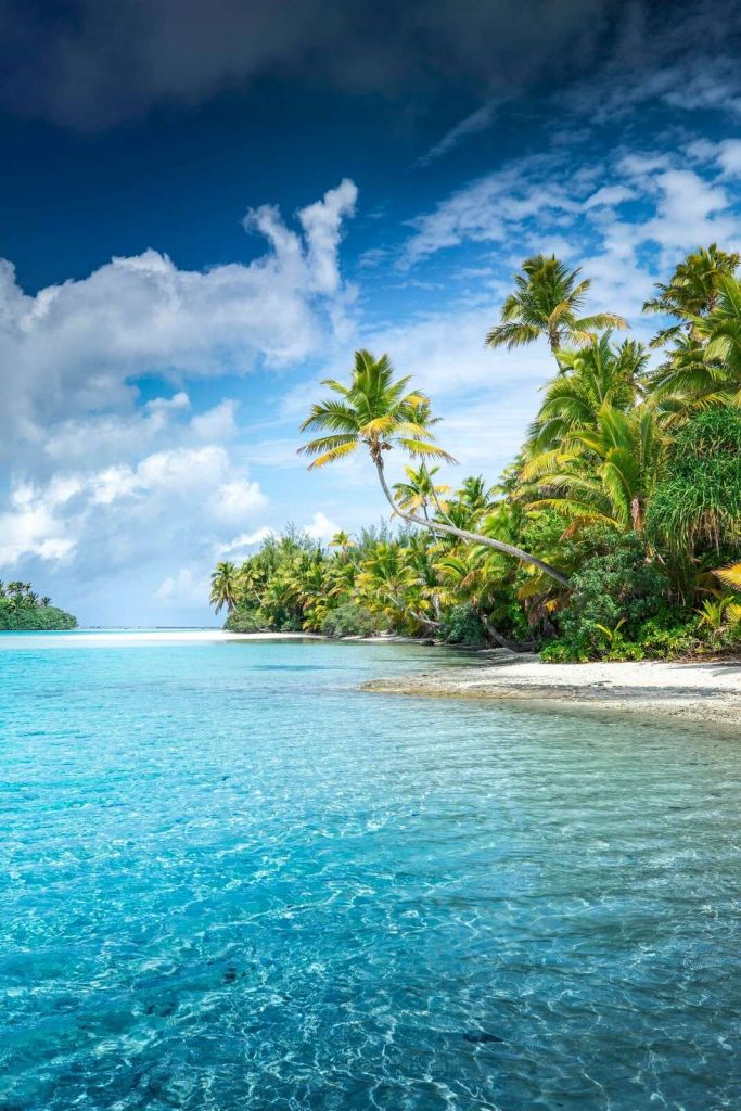Helder tropisch strand met palmbomen