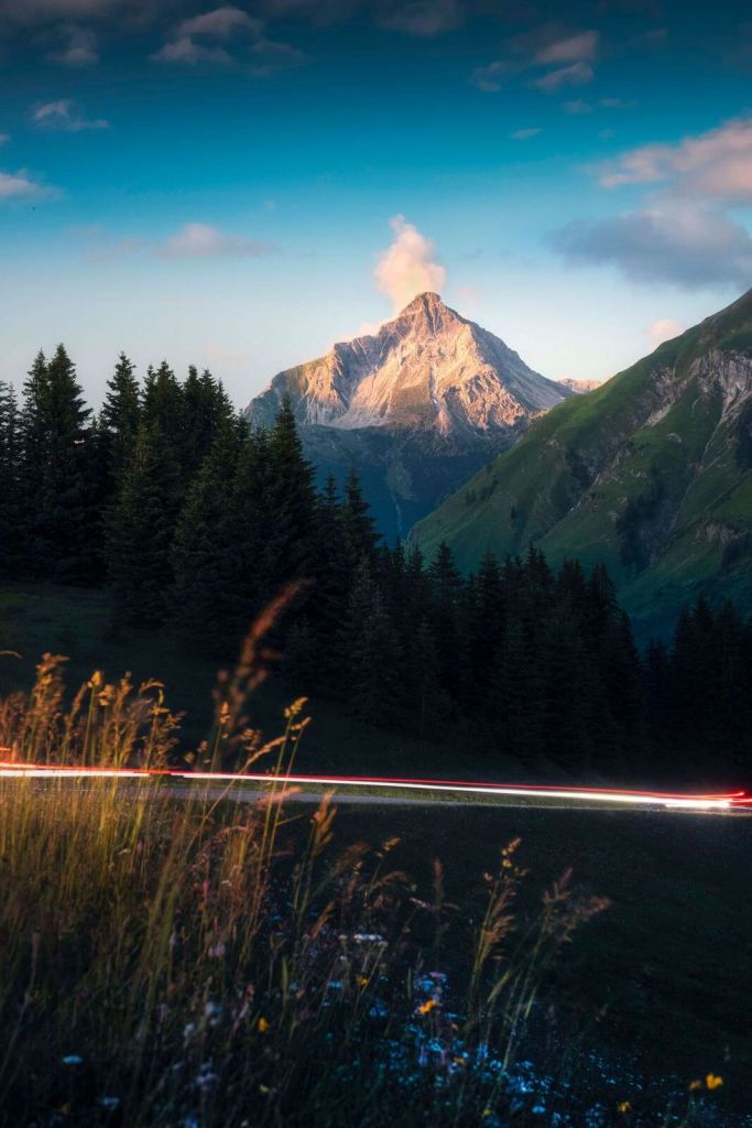 Avondlicht op alpentop met bloemenveld