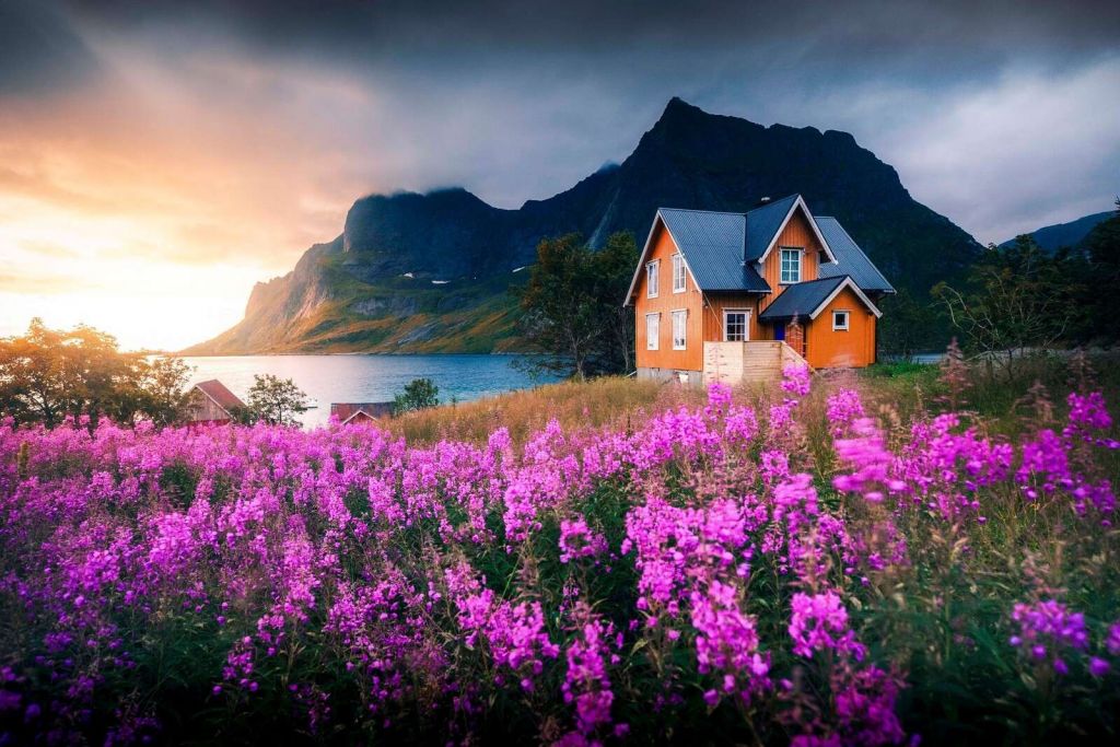 Oranje huis aan paarse fjord