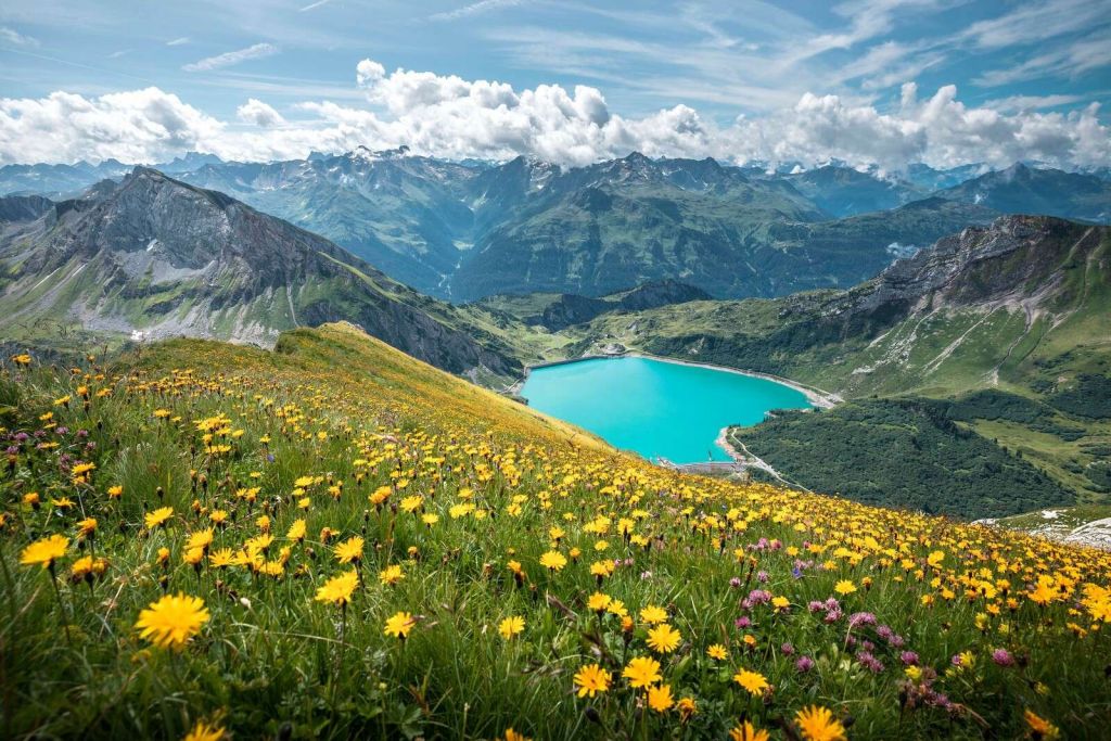 Bloemenweide boven turquoise bergmeer