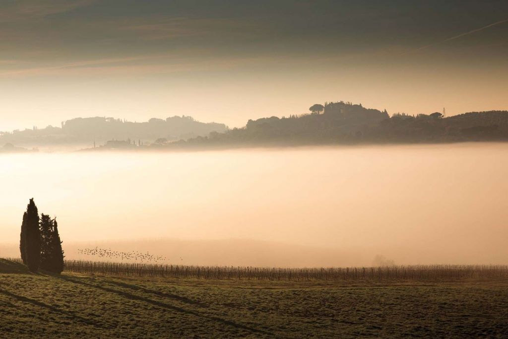 Heuvels In Toscaanse Ochtendnevel