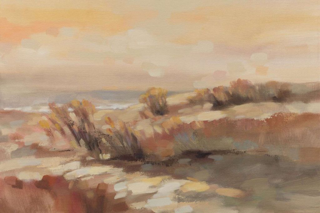 Warme duinen in avondlicht