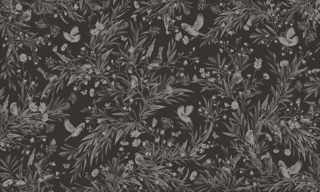 Playful Robins - Monochrome - Black