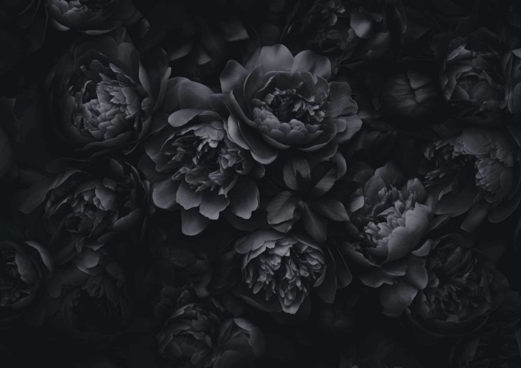 Opulent flowers black grey