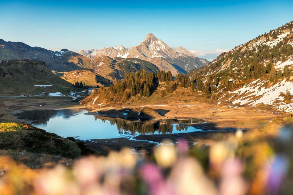 Bergmeer in lentelicht