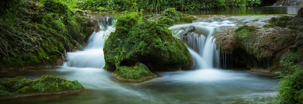 Waterval in het bos