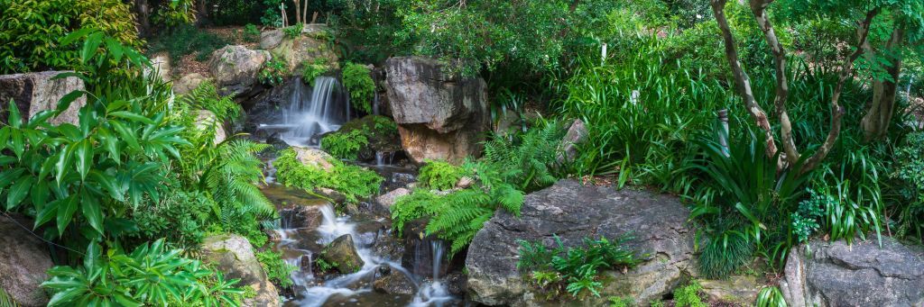 Waterval met tropische planten