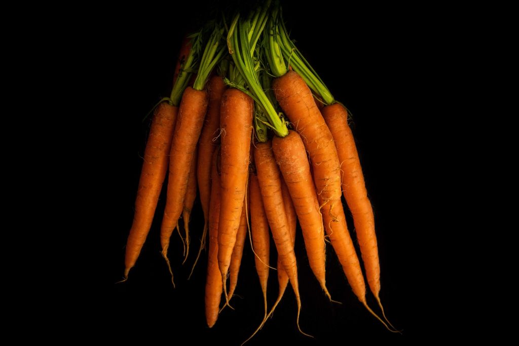Oranje wortels