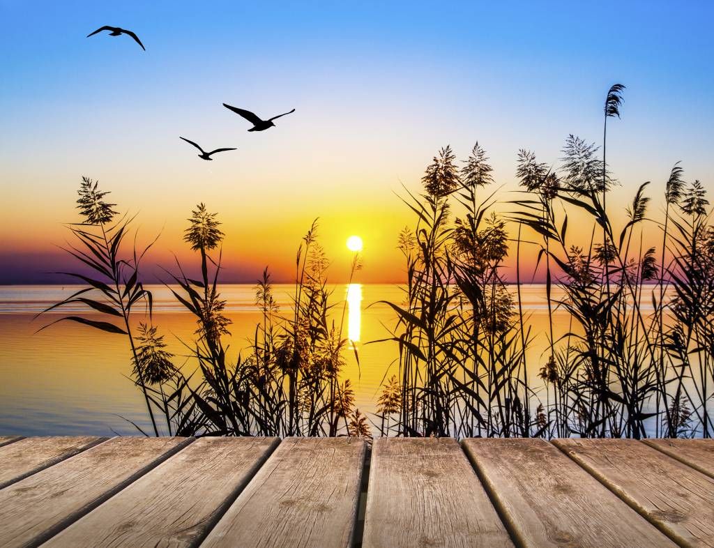 Zonsondergang op het meer