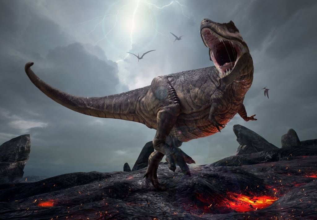 Dinosaurussen - Tyrannosaurus Rex - Kinderkamer
