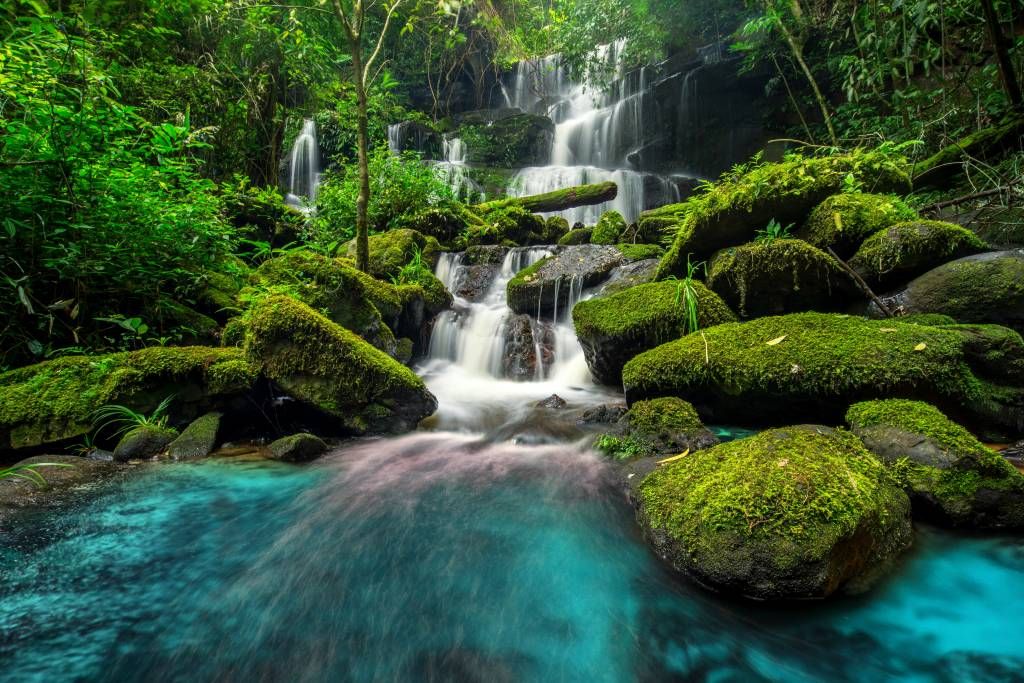 Watervallen - Waterval in een jungle - Hobbykamer