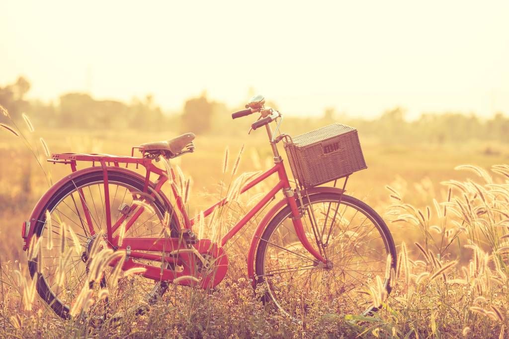 Landschap behang - Vintage fiets - Slaapkamer