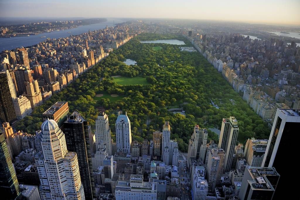 Central Park main product photo