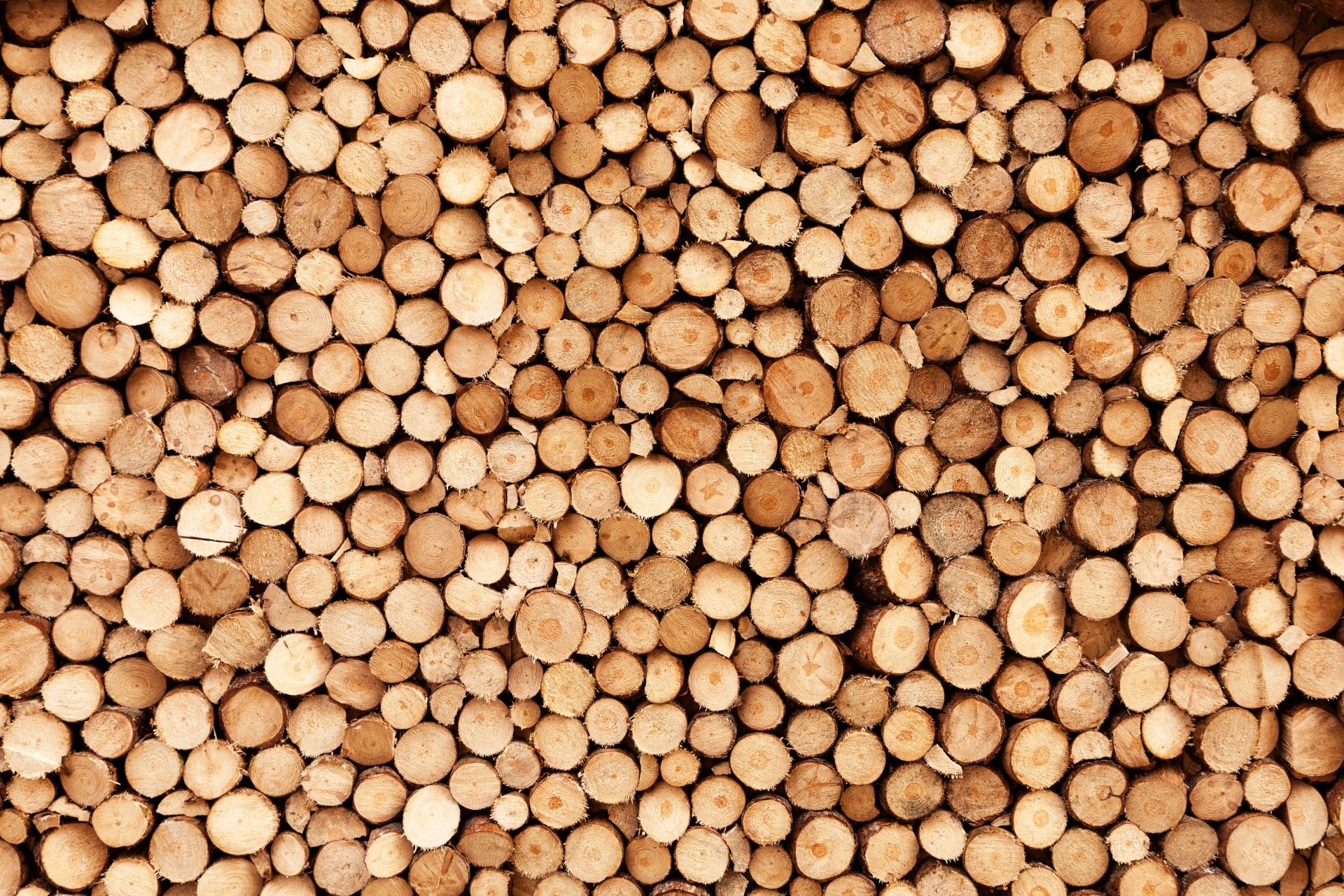 Brand hout main product photo