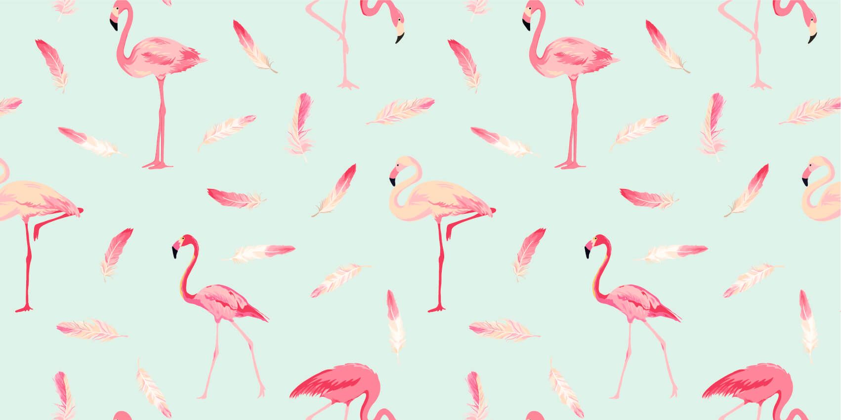 Flamingo's main product photo