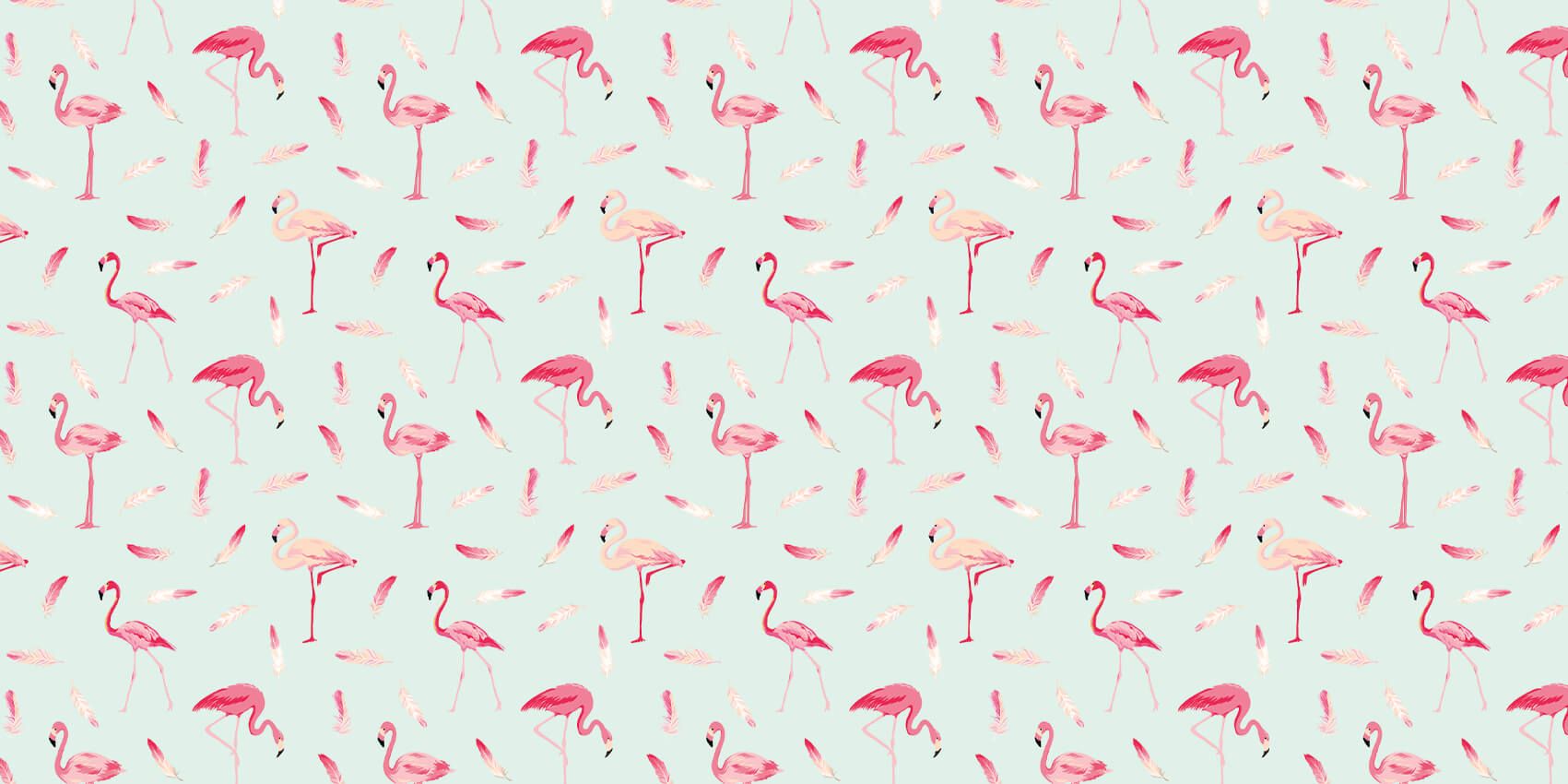 Flamingo's