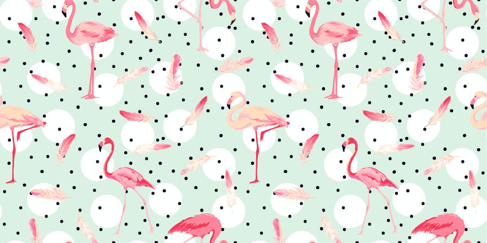 Flamingo's en veren main product photo