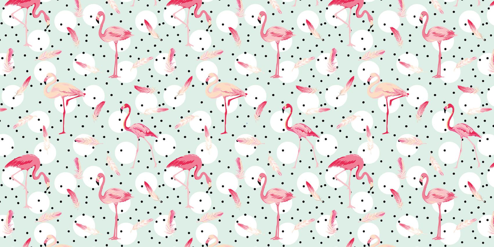 Flamingo's en veren