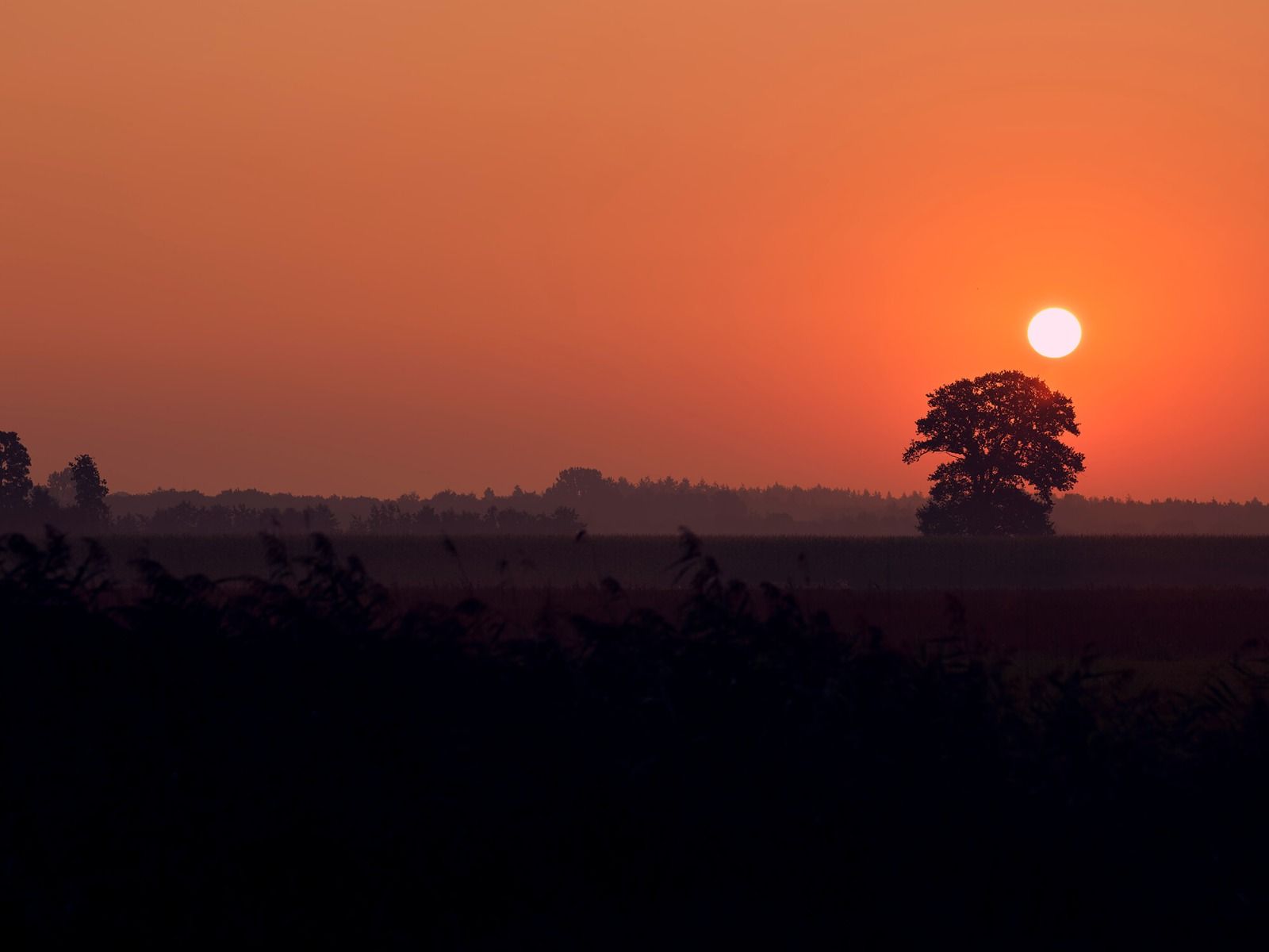 Zonsopkomst