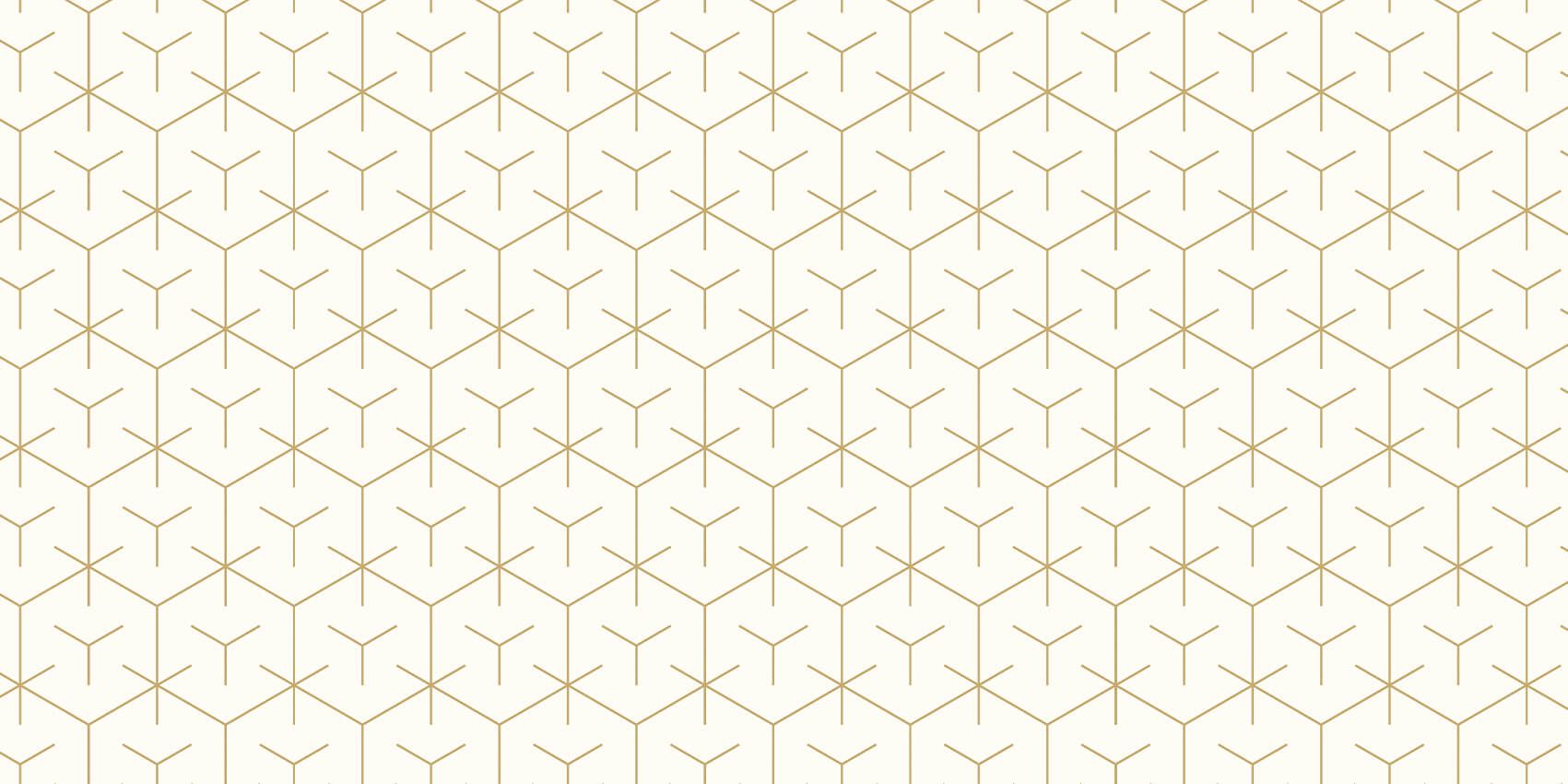 Geometrische hexagons, wit