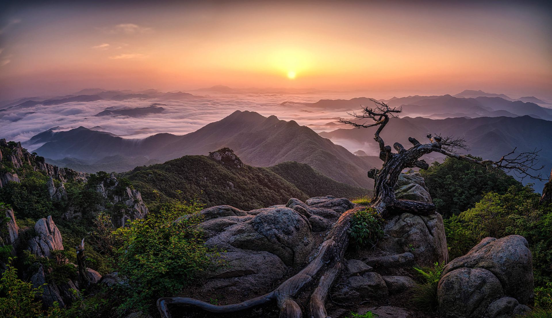 Sunrise on Top main product photo