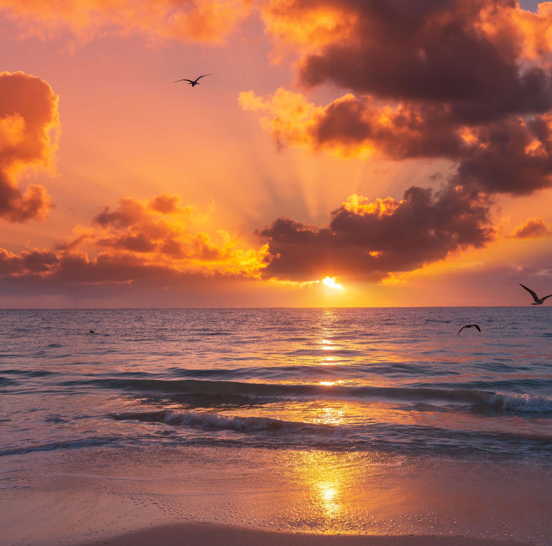 Prachtige oranje zonsondergang
