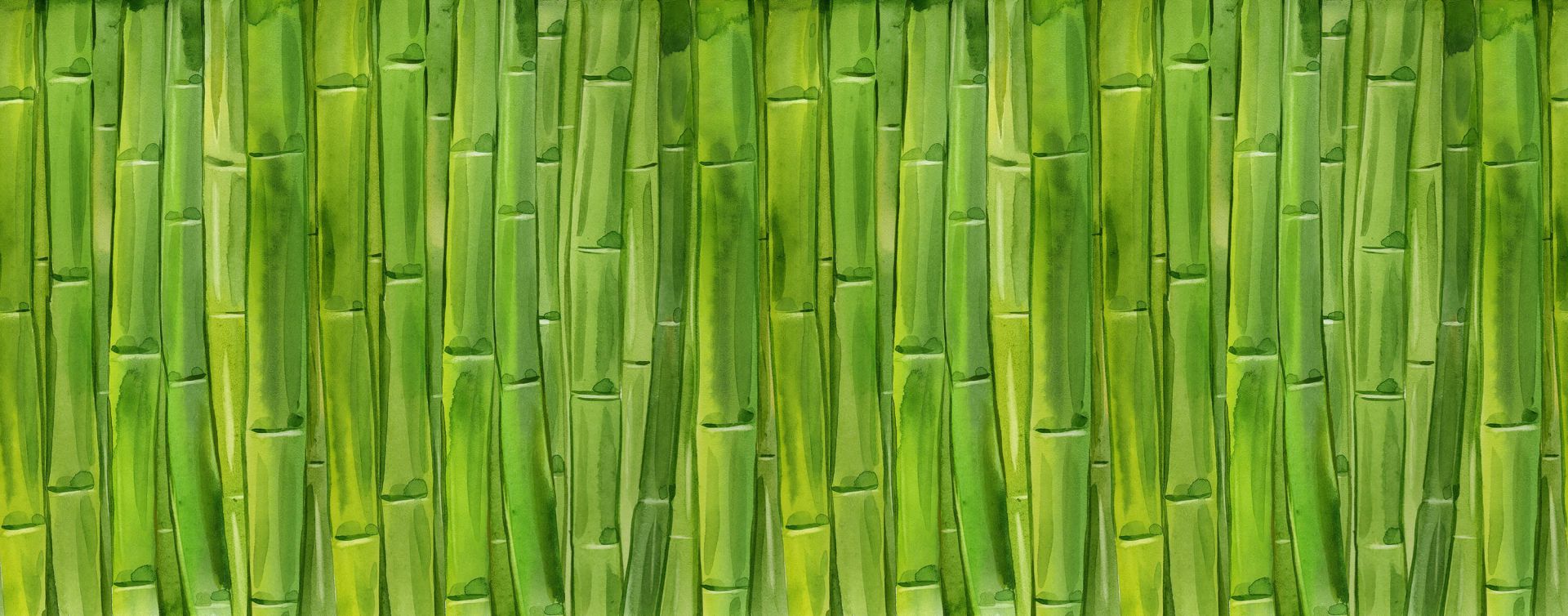Aquarel bamboe
