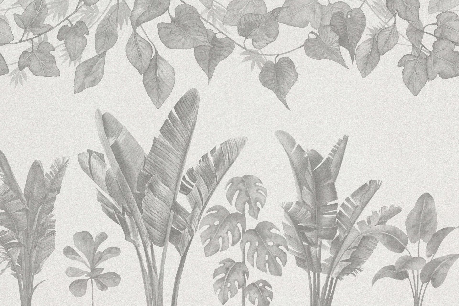 Jungle planten in grijstinten main product photo